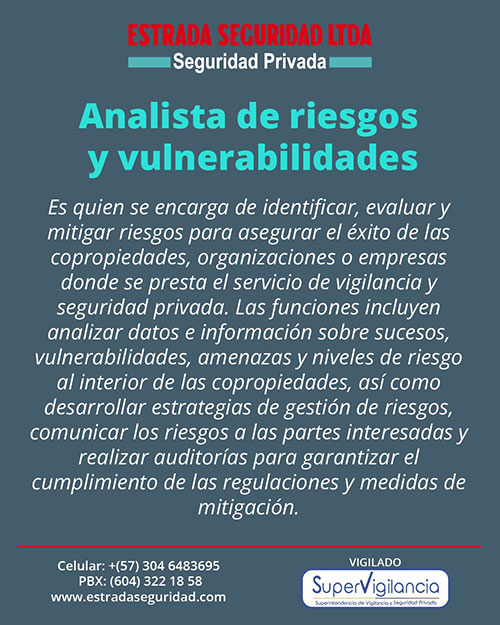 estrada-seguridad-equipo-analista-riesgos